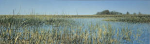 Gator hole