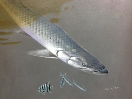 Tarpon portrait