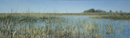 Gator hole