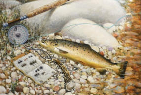 Trout still life