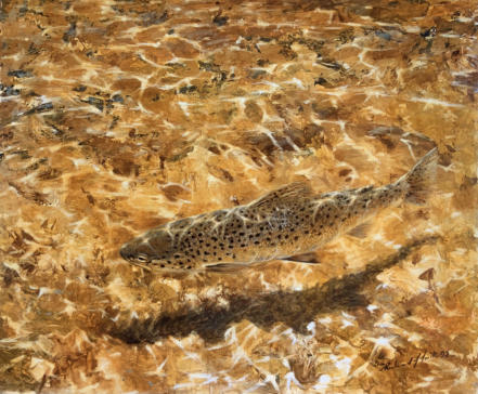 That golden gravel. To a trout fisher there is nothing evocative than sunlight on gravel.